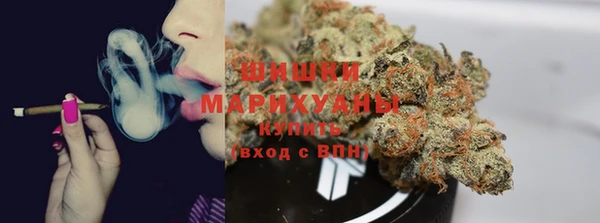 экстази Бородино