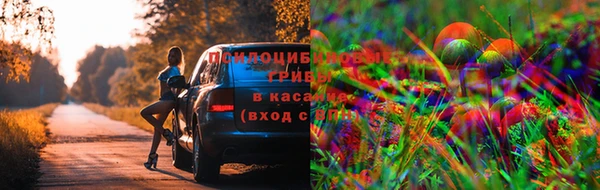 а пвп мука Бугульма