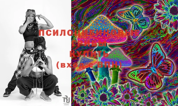 экстази Бородино