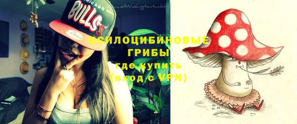 экстази Бородино
