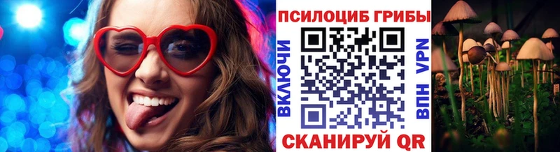 сколько стоит Невельск нарко площадка Telegram Псилоцибиновые грибы Cubensis