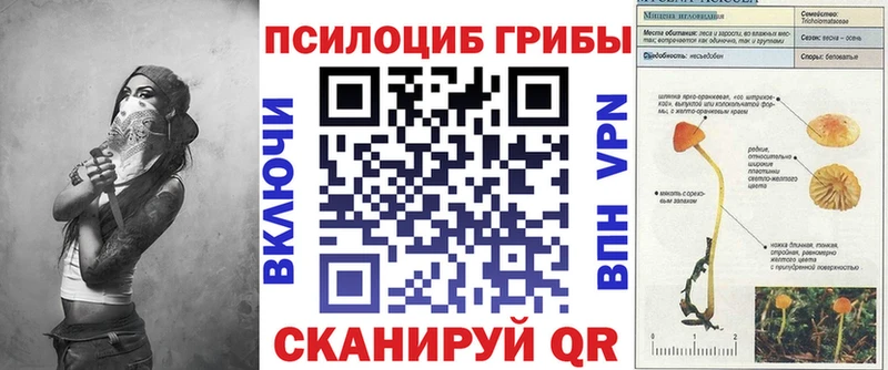 Галлюциногенные грибы GOLDEN TEACHER Невельск
